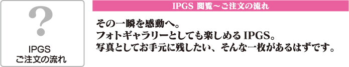 IPGS ご注文の流れ